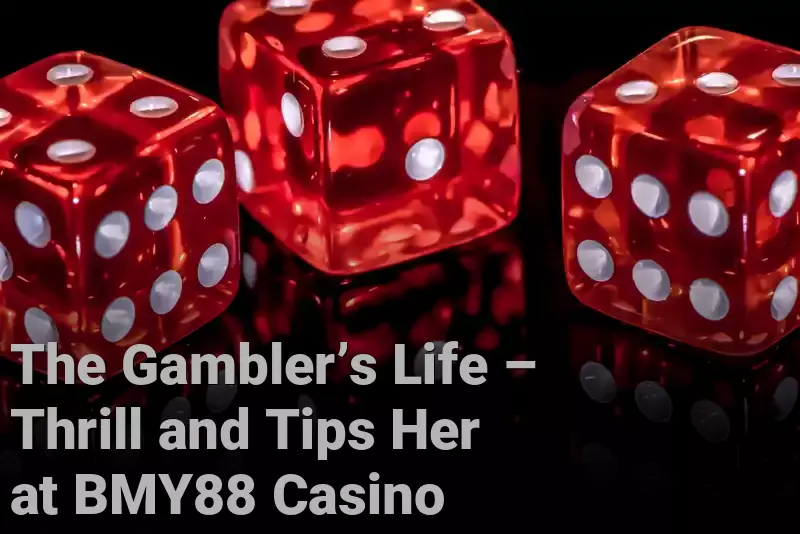 The Gambler’s Life – Thrill and Tips Her at BMY88 Casino 